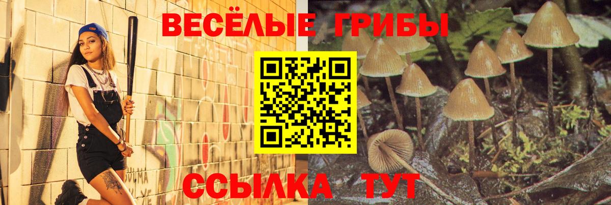 Галлюциногенные грибы Psilocybe  Вход с VPN  Подольск 